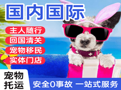东郊航空运输国际宠物托运 【国